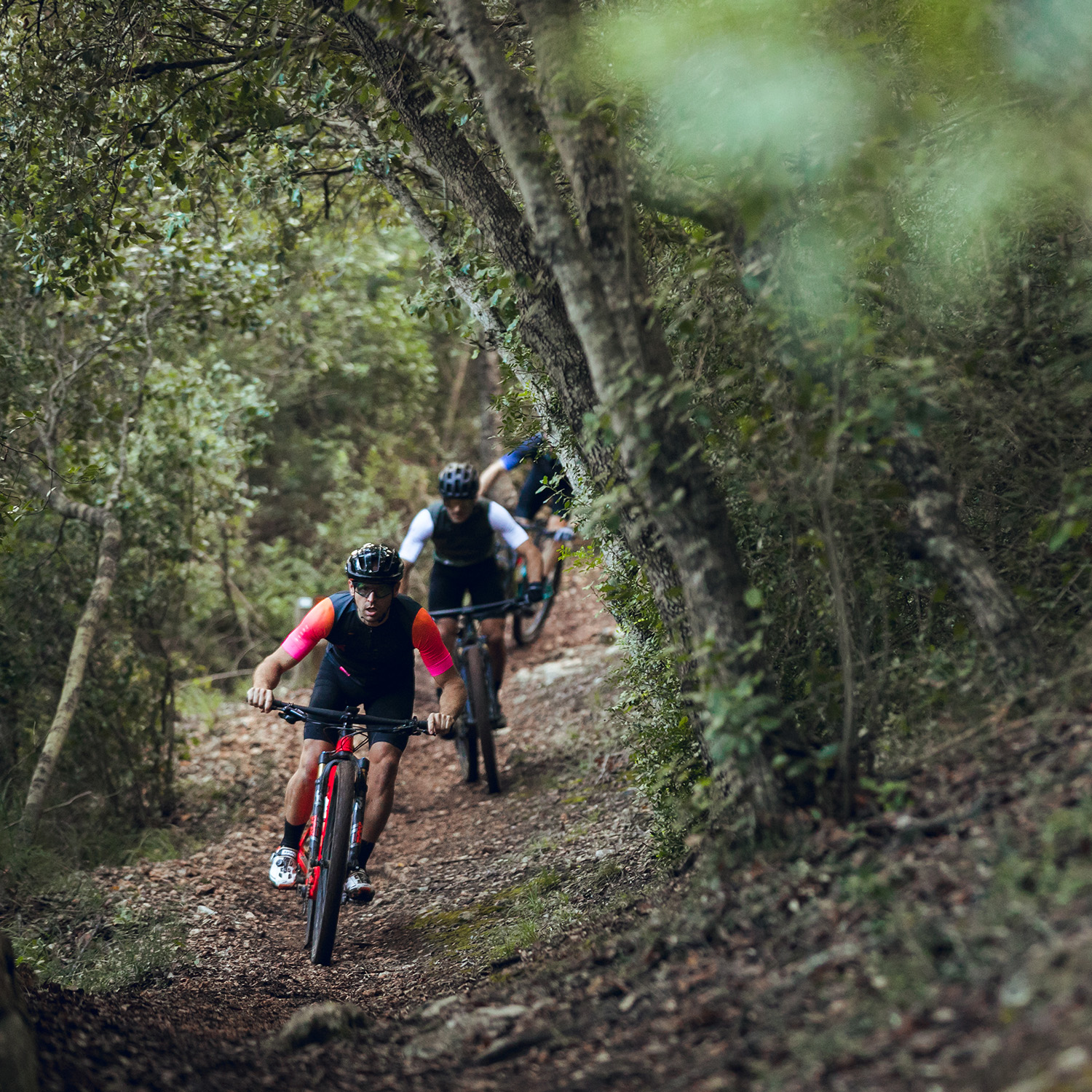 BTT 4 etapas - Imagen 8