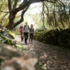 Hiking 2 stages - Image 4