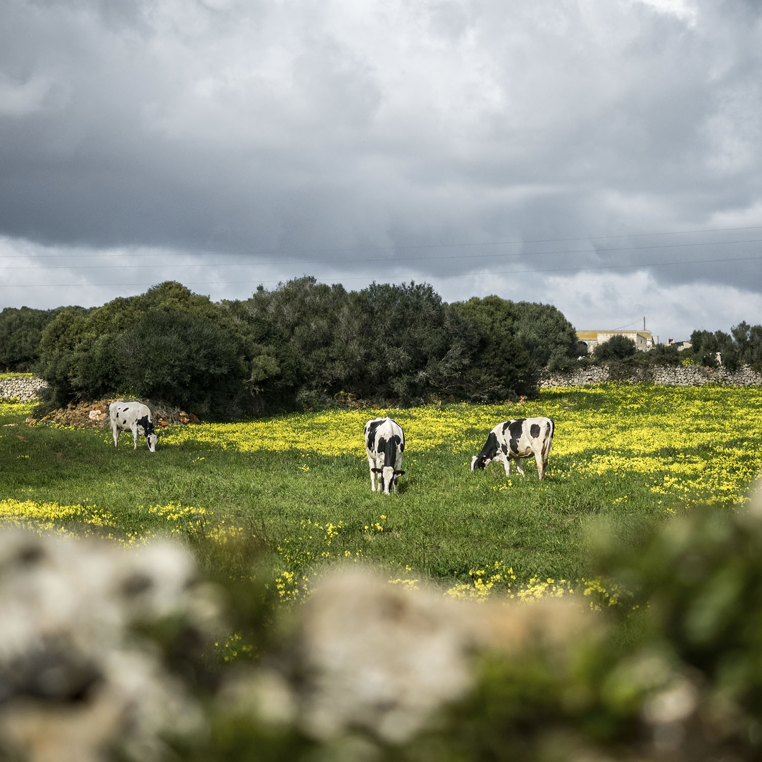 MTB 4 stages - Image 5