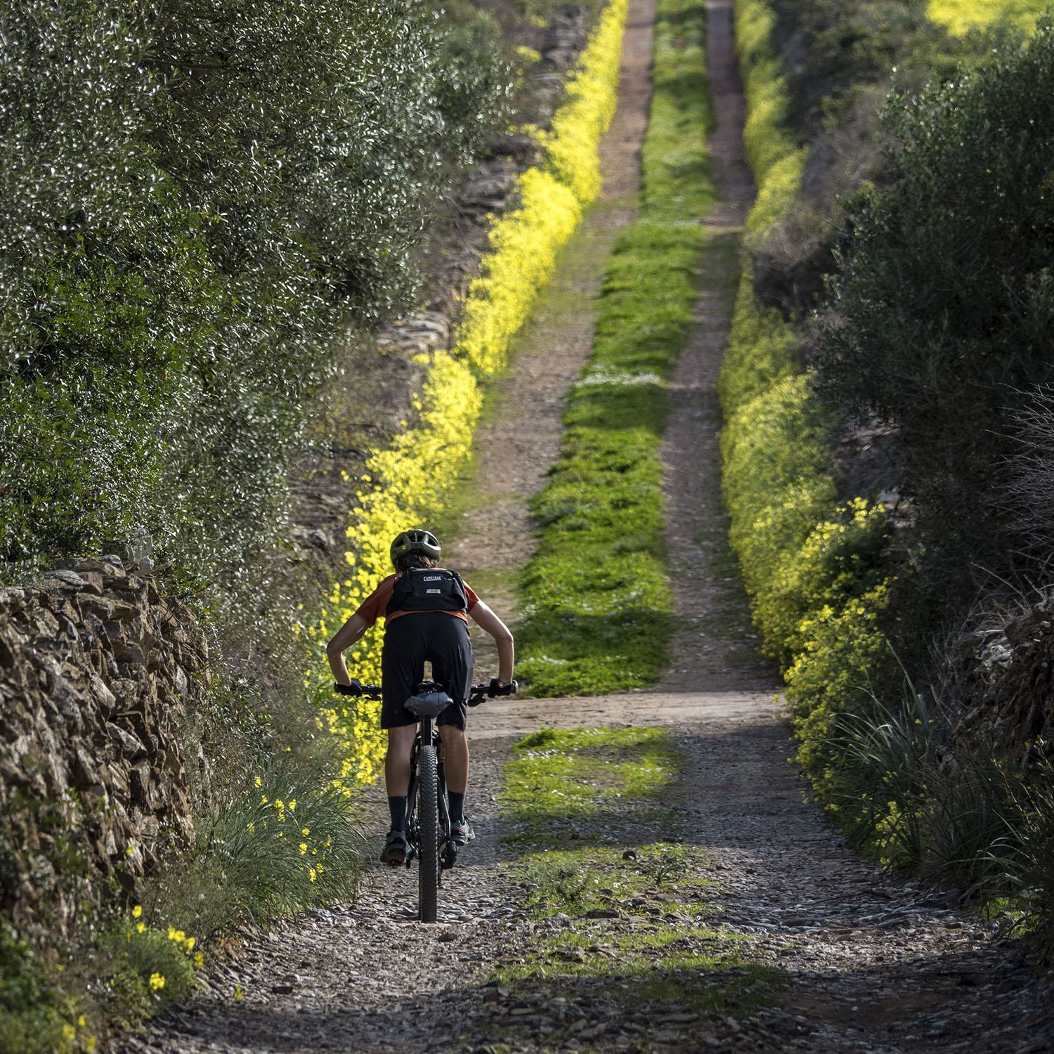 MTB 4 stages - Image 7