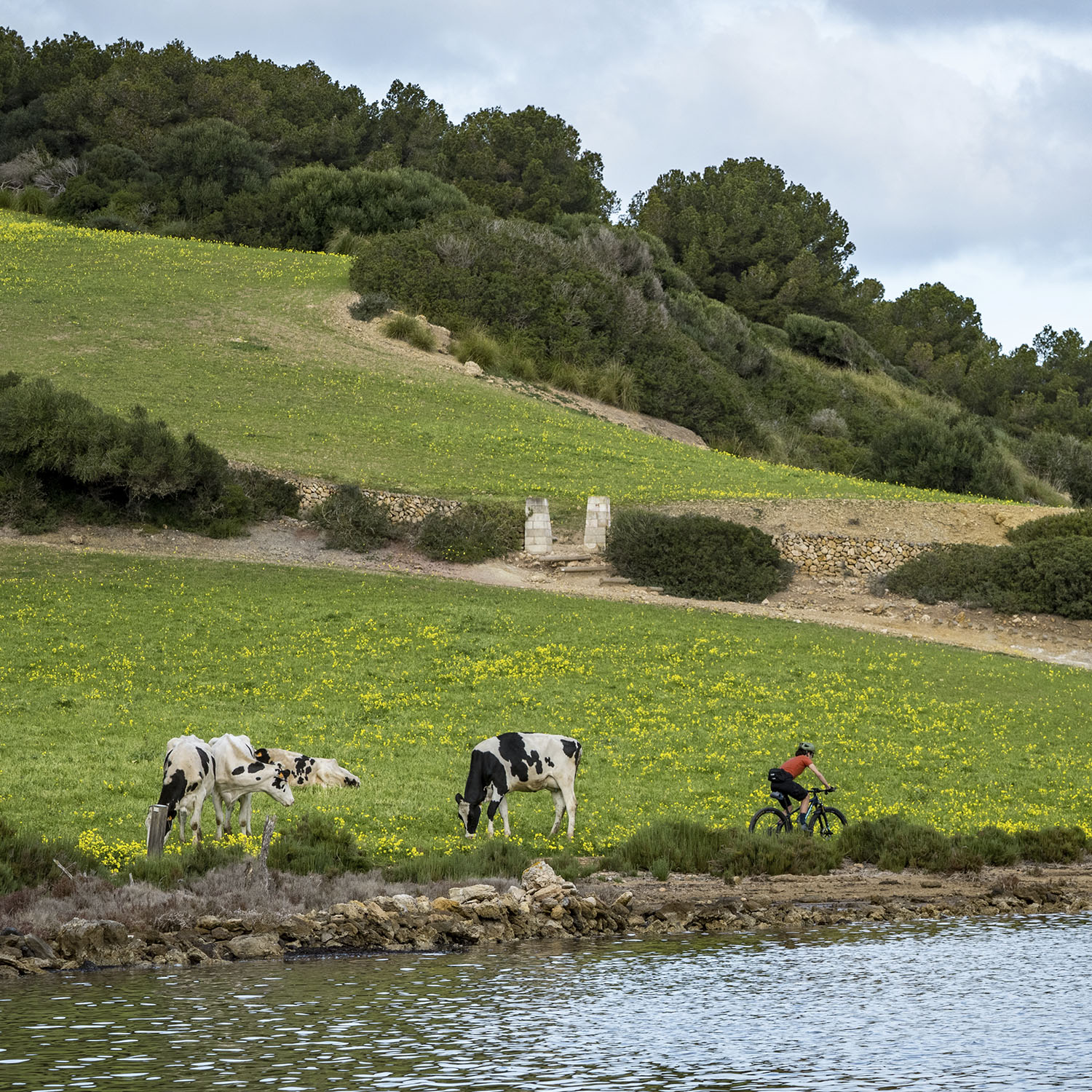 MTB 4 stages - Image 3