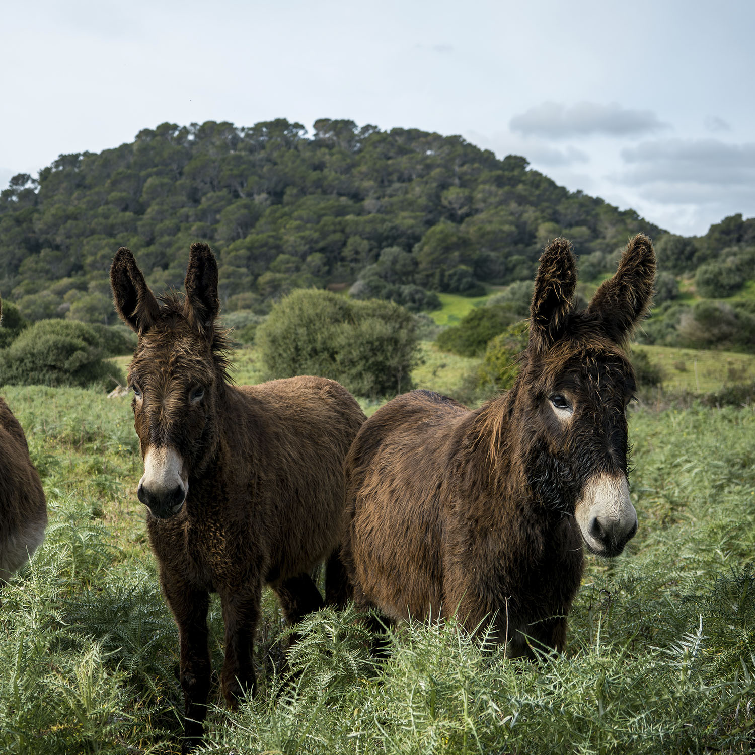 MTB 4 stages - Image 8